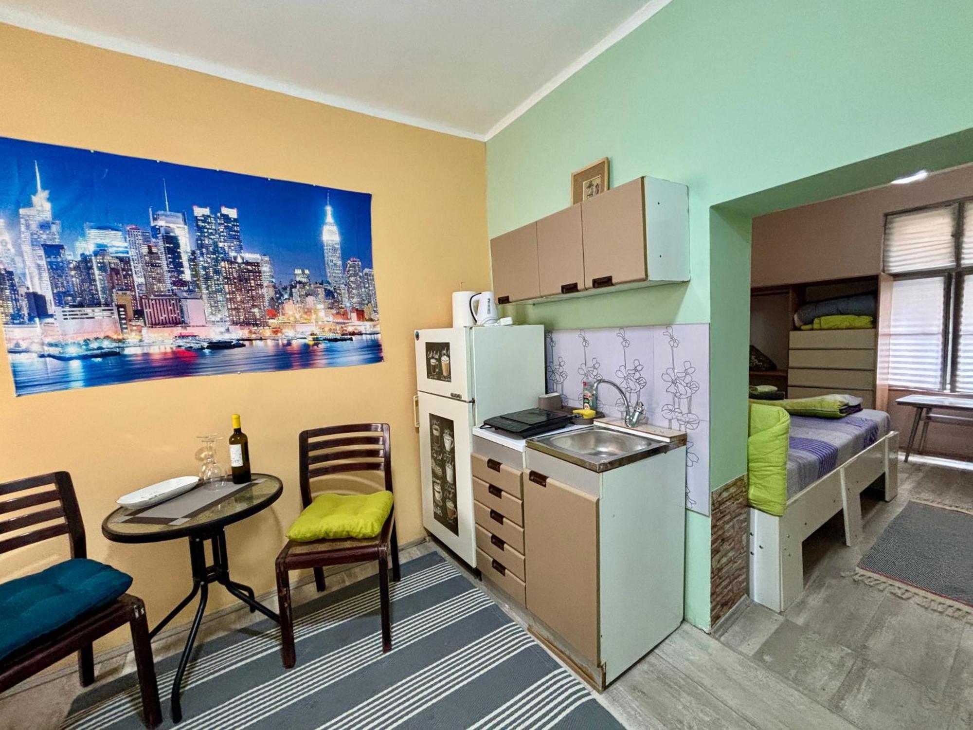 Vracar Affordable Suites - Vracar Povoljni Stanovi Beograd Eksteriør bilde